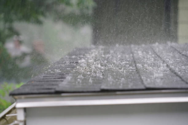 Best Asphalt Shingles Roofing  in Baldwin, FL