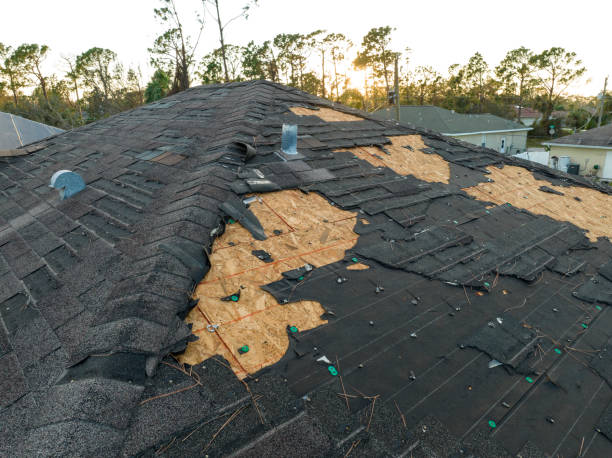 Best Asphalt Shingle Roofing  in Baldwin, FL